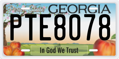 GA license plate PTE8078