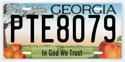 GA license plate PTE8079