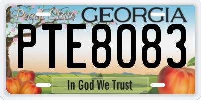 GA license plate PTE8083
