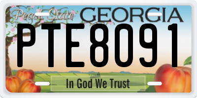 GA license plate PTE8091