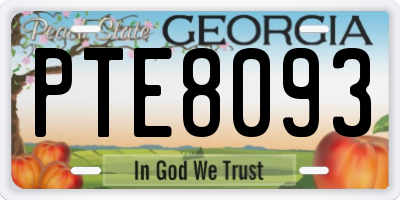 GA license plate PTE8093