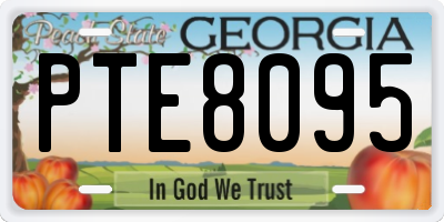 GA license plate PTE8095