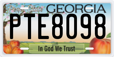 GA license plate PTE8098