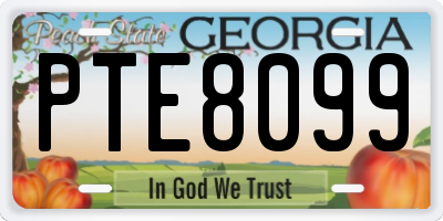 GA license plate PTE8099