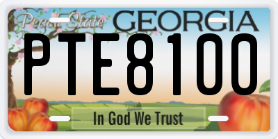GA license plate PTE8100