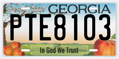 GA license plate PTE8103
