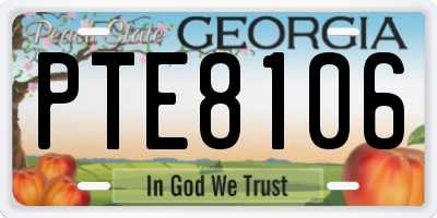 GA license plate PTE8106