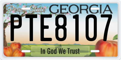 GA license plate PTE8107