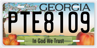 GA license plate PTE8109