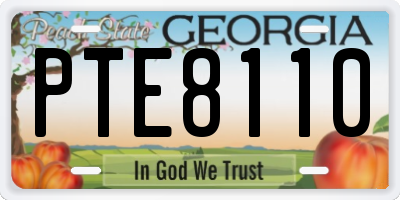 GA license plate PTE8110