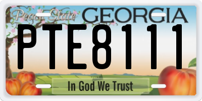 GA license plate PTE8111