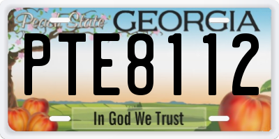 GA license plate PTE8112