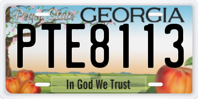 GA license plate PTE8113