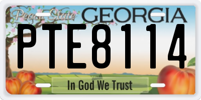 GA license plate PTE8114