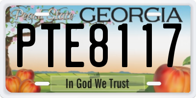 GA license plate PTE8117