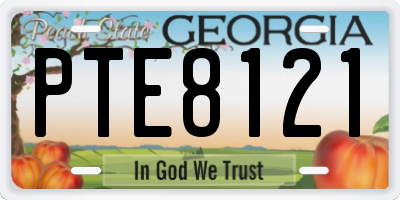 GA license plate PTE8121