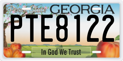 GA license plate PTE8122