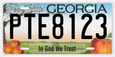 GA license plate PTE8123