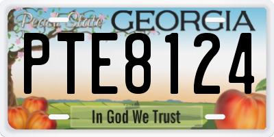 GA license plate PTE8124