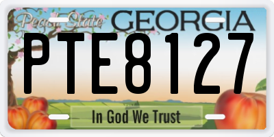 GA license plate PTE8127