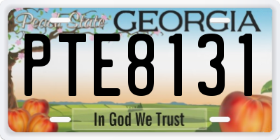 GA license plate PTE8131