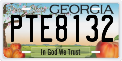 GA license plate PTE8132
