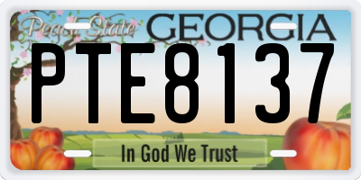 GA license plate PTE8137