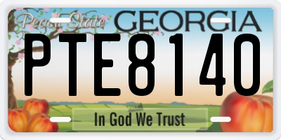 GA license plate PTE8140