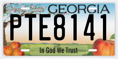 GA license plate PTE8141