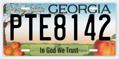 GA license plate PTE8142