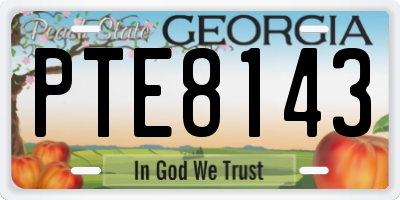 GA license plate PTE8143