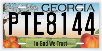 GA license plate PTE8144
