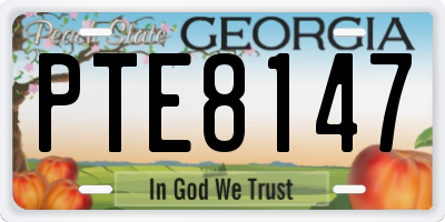 GA license plate PTE8147