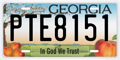 GA license plate PTE8151