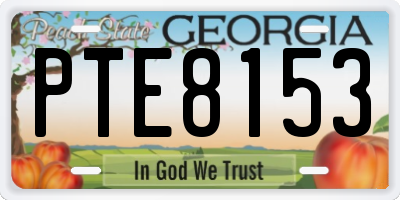 GA license plate PTE8153
