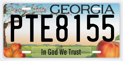 GA license plate PTE8155