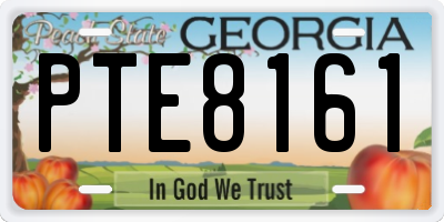 GA license plate PTE8161