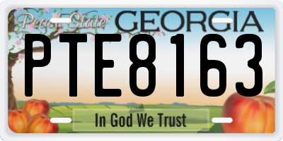 GA license plate PTE8163