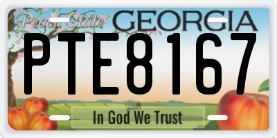 GA license plate PTE8167