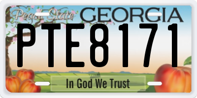 GA license plate PTE8171