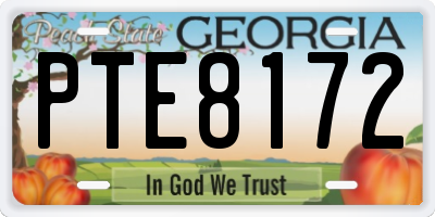 GA license plate PTE8172