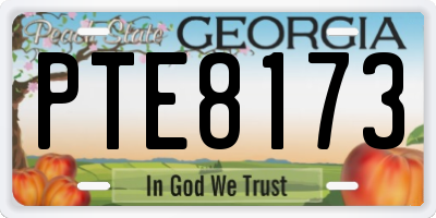 GA license plate PTE8173