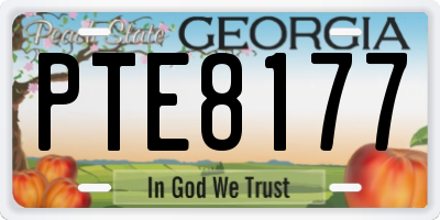 GA license plate PTE8177