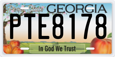GA license plate PTE8178