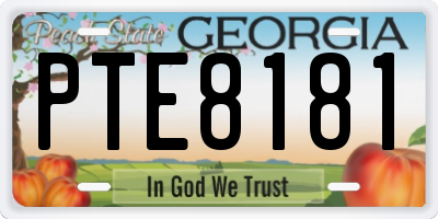 GA license plate PTE8181
