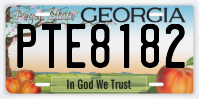 GA license plate PTE8182