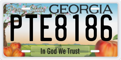 GA license plate PTE8186