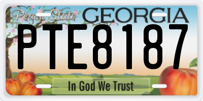 GA license plate PTE8187