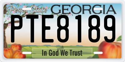 GA license plate PTE8189