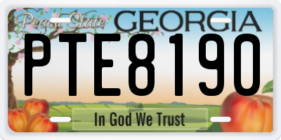 GA license plate PTE8190